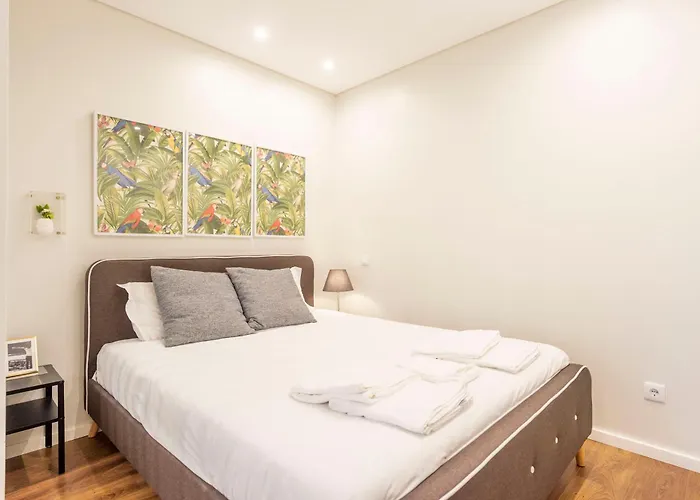 Terro Collection - Eca De Queiros Apartment *